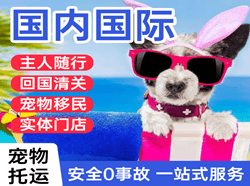 喀什徕宁航空空运国际宠物托运 【国
